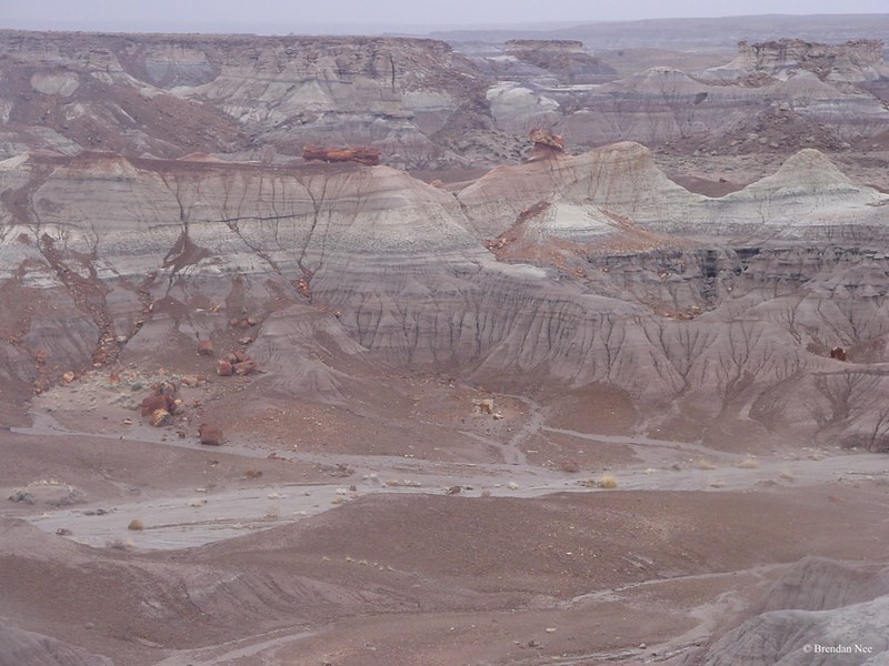 Petrified Forest National Park - Petrified Forest 1-05 392